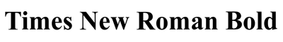 Times New Roman Bold
