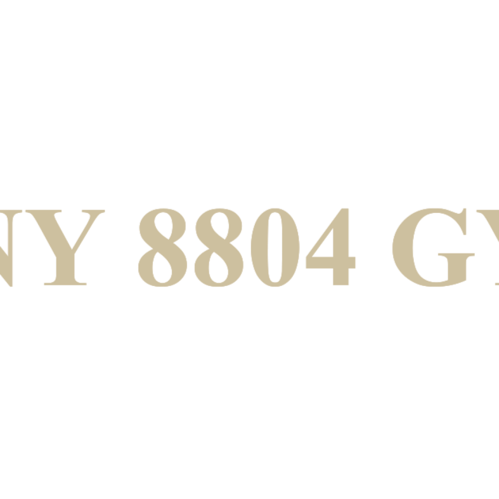 NY 8804 GY