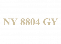 NY 8804 GY