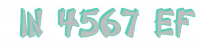 IN 4567 EF