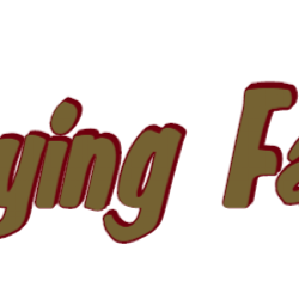 Flying Fart