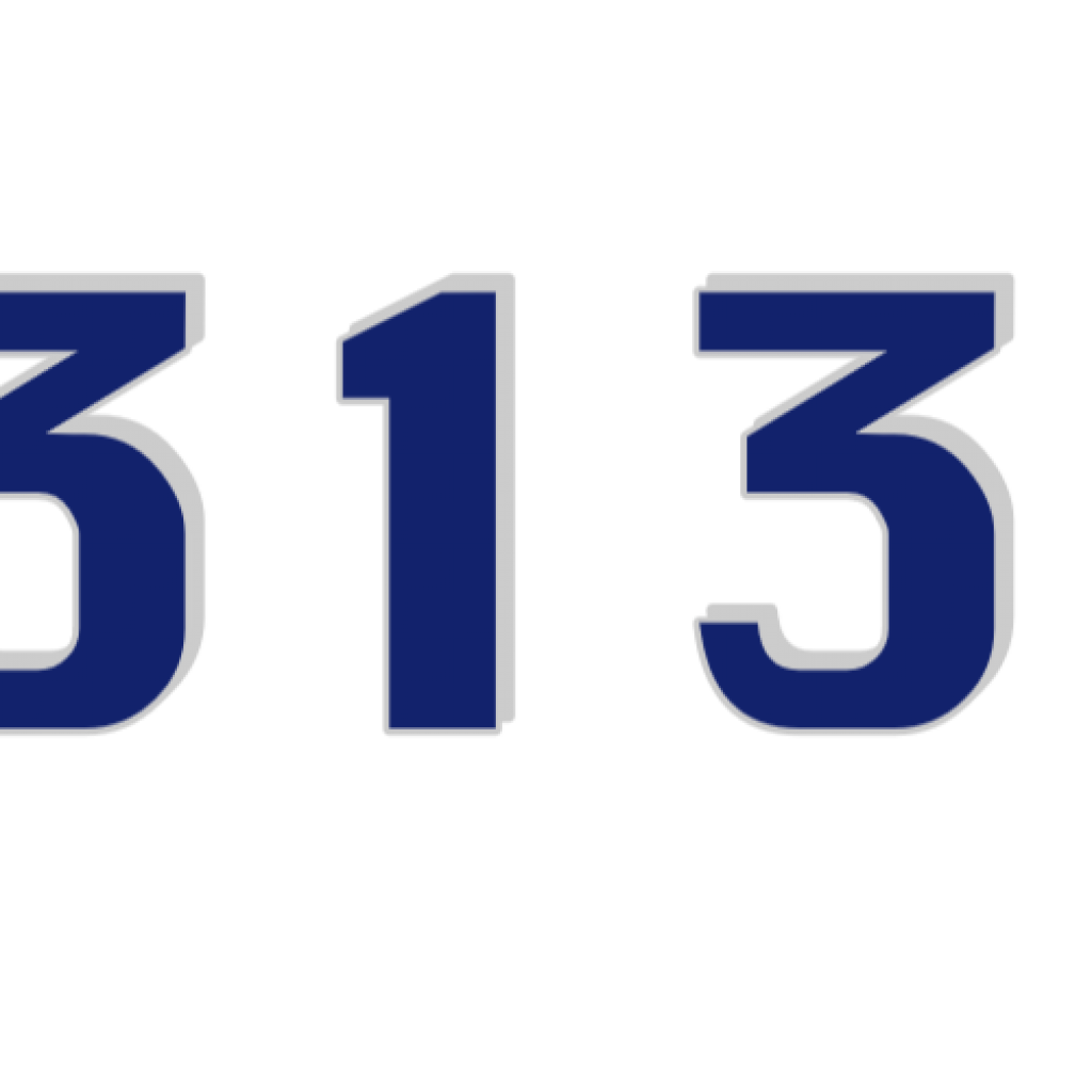 MS 3135 BJ