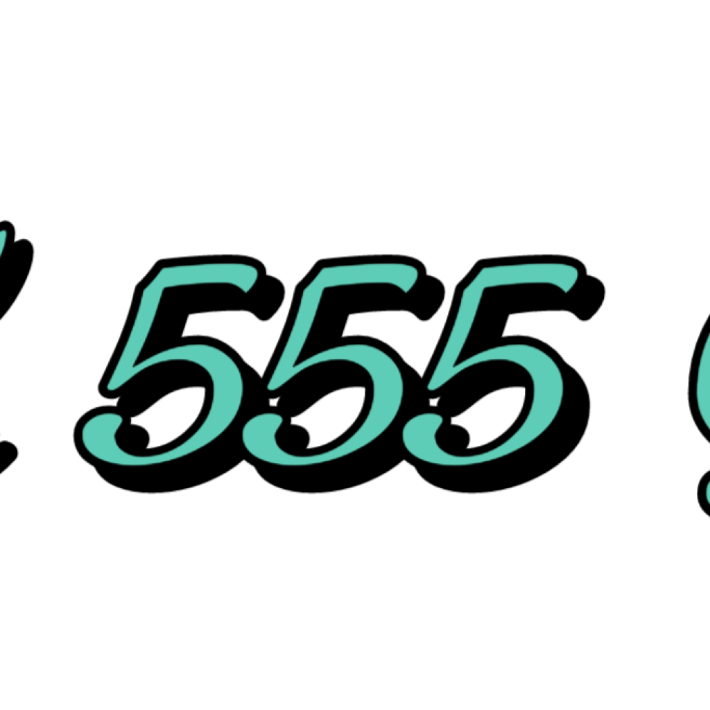 SK 555 GK