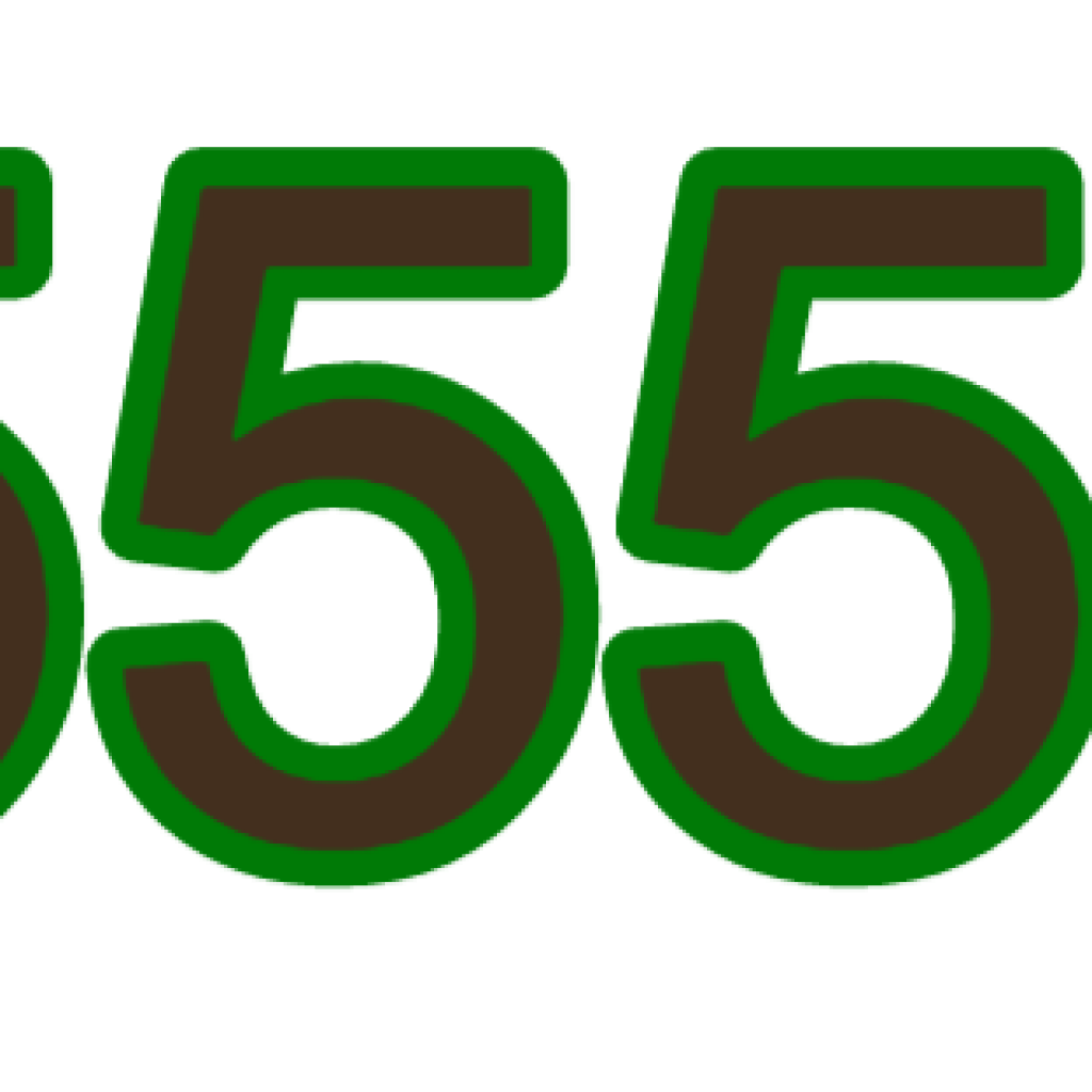 IN 555 DC