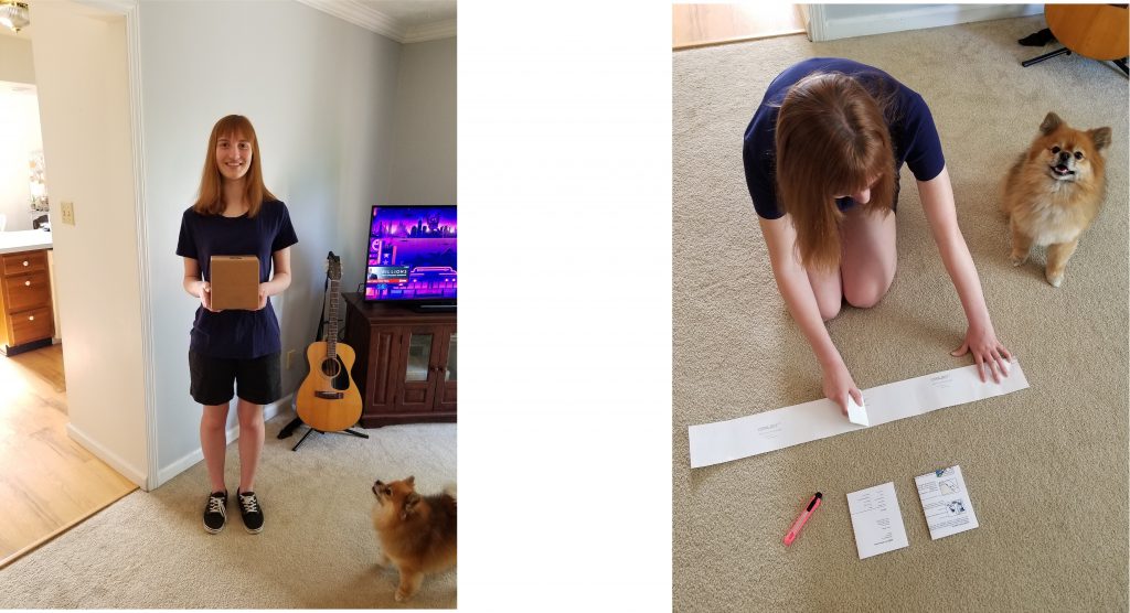 Vinyl Lettering Installation Instructions Hoosierdecal