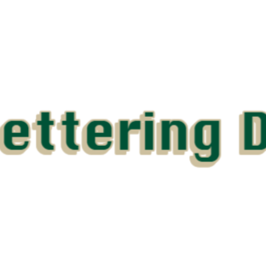 Custom Vinyl Lettering Designed Online