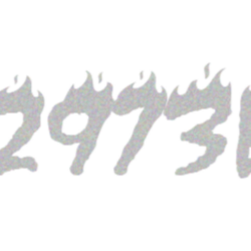 IN2973EA