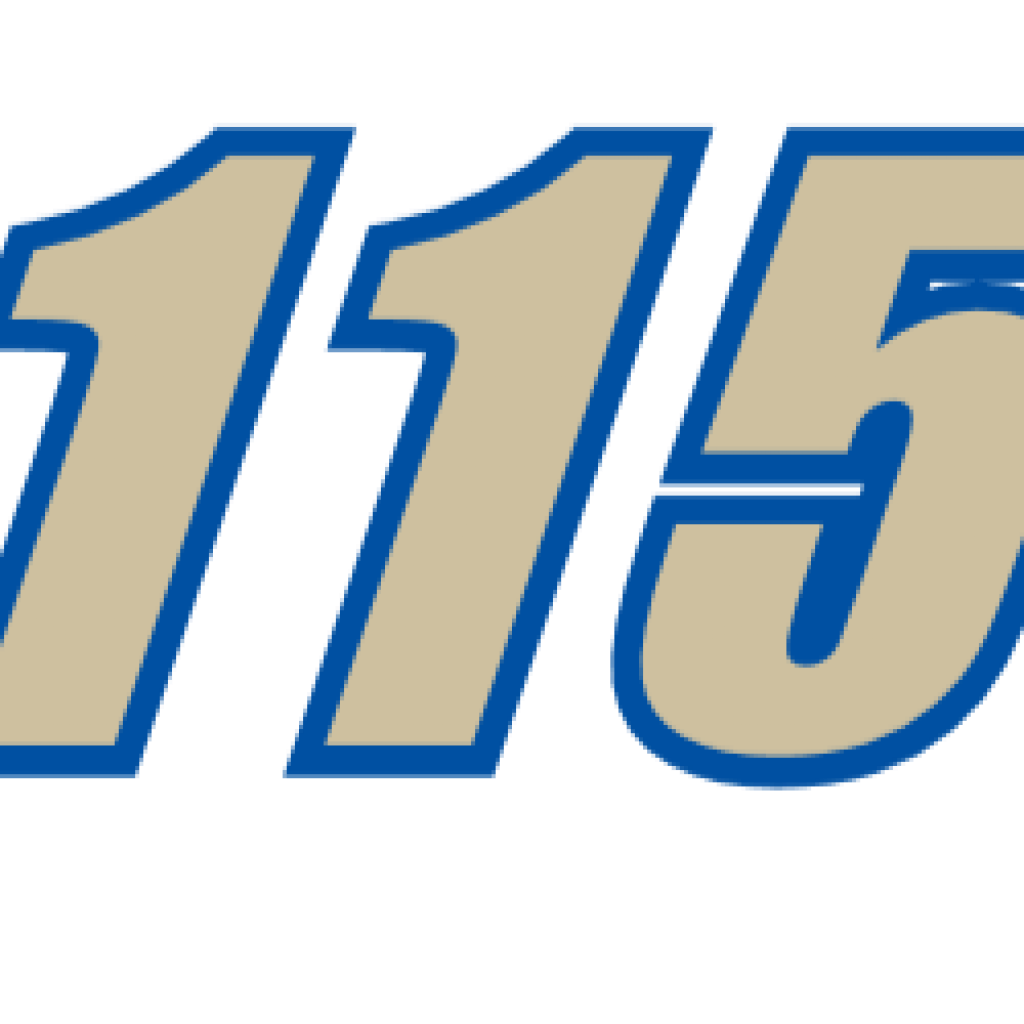 WS 1155 UZ
