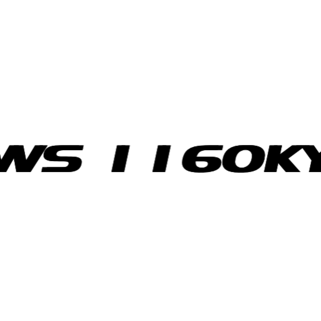 WS 1160KY