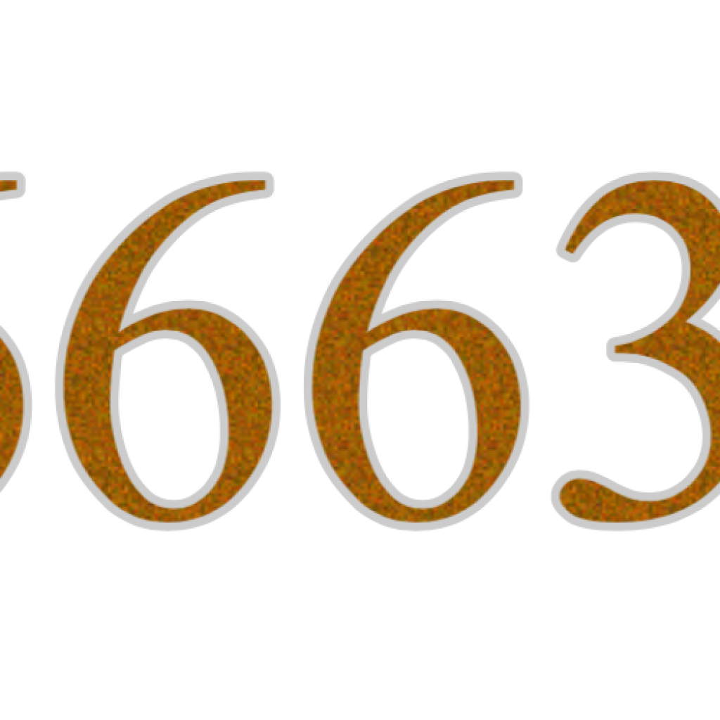 FL6663NN