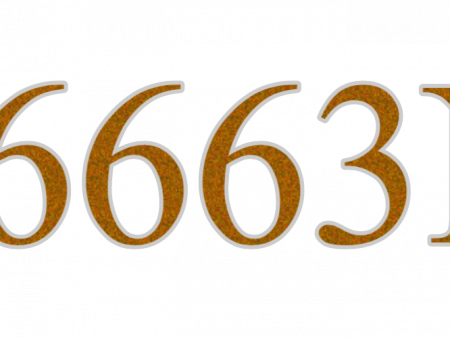 FL6663NN