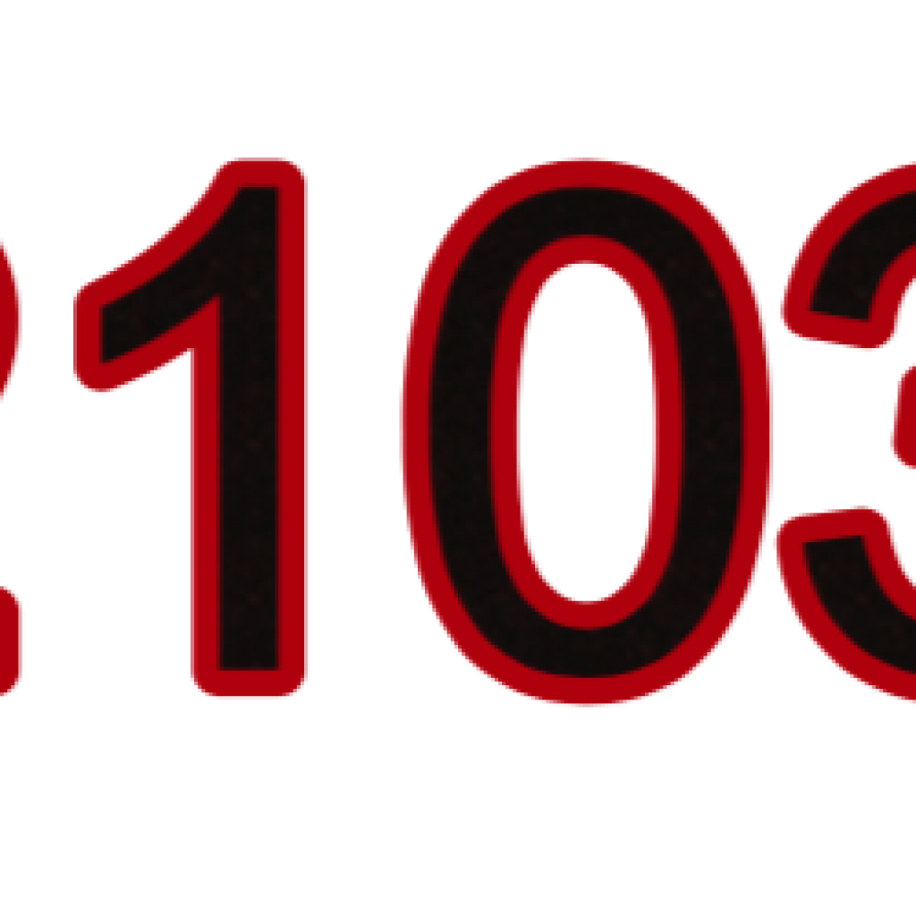 NJ 2103 HK