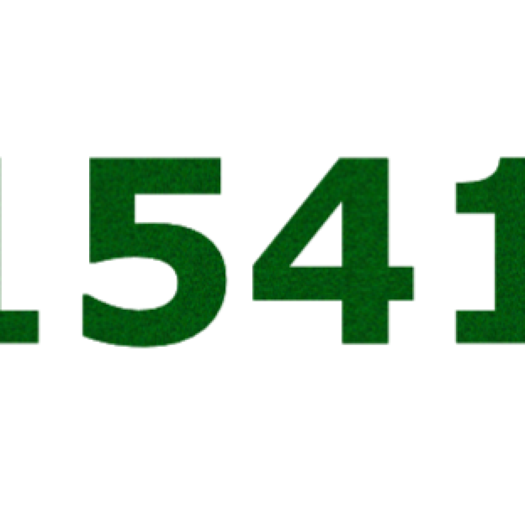 PA 1541 CM