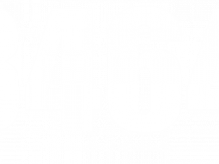 IN 8464 EA