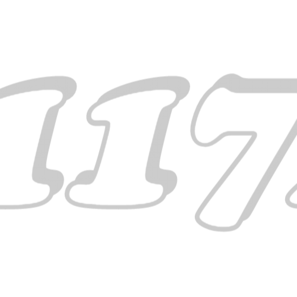 WS 1172 JU