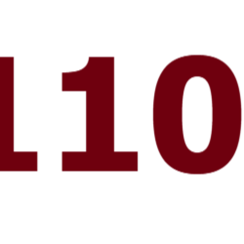 WS 1102 RE