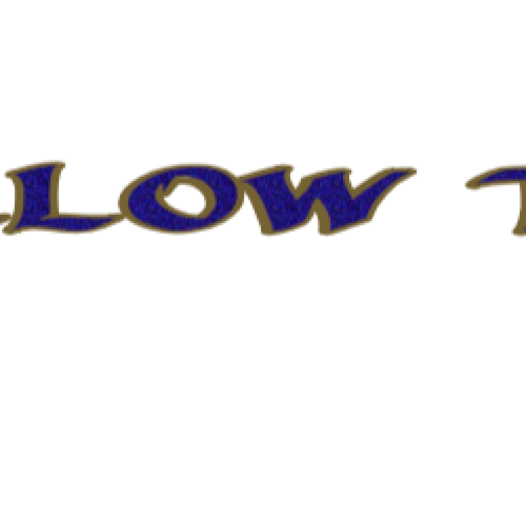 I'LL FOLLOW THE SUN