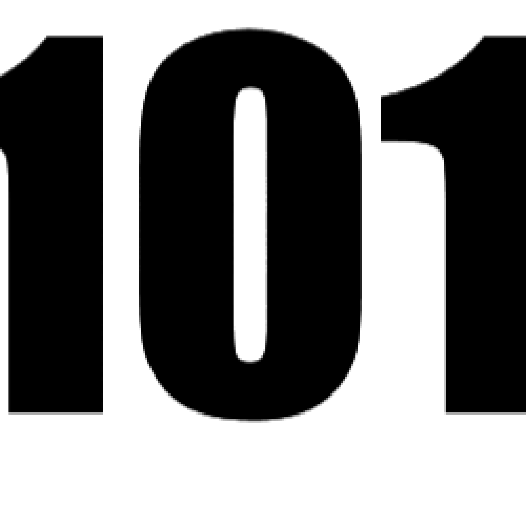 WS 1010SA