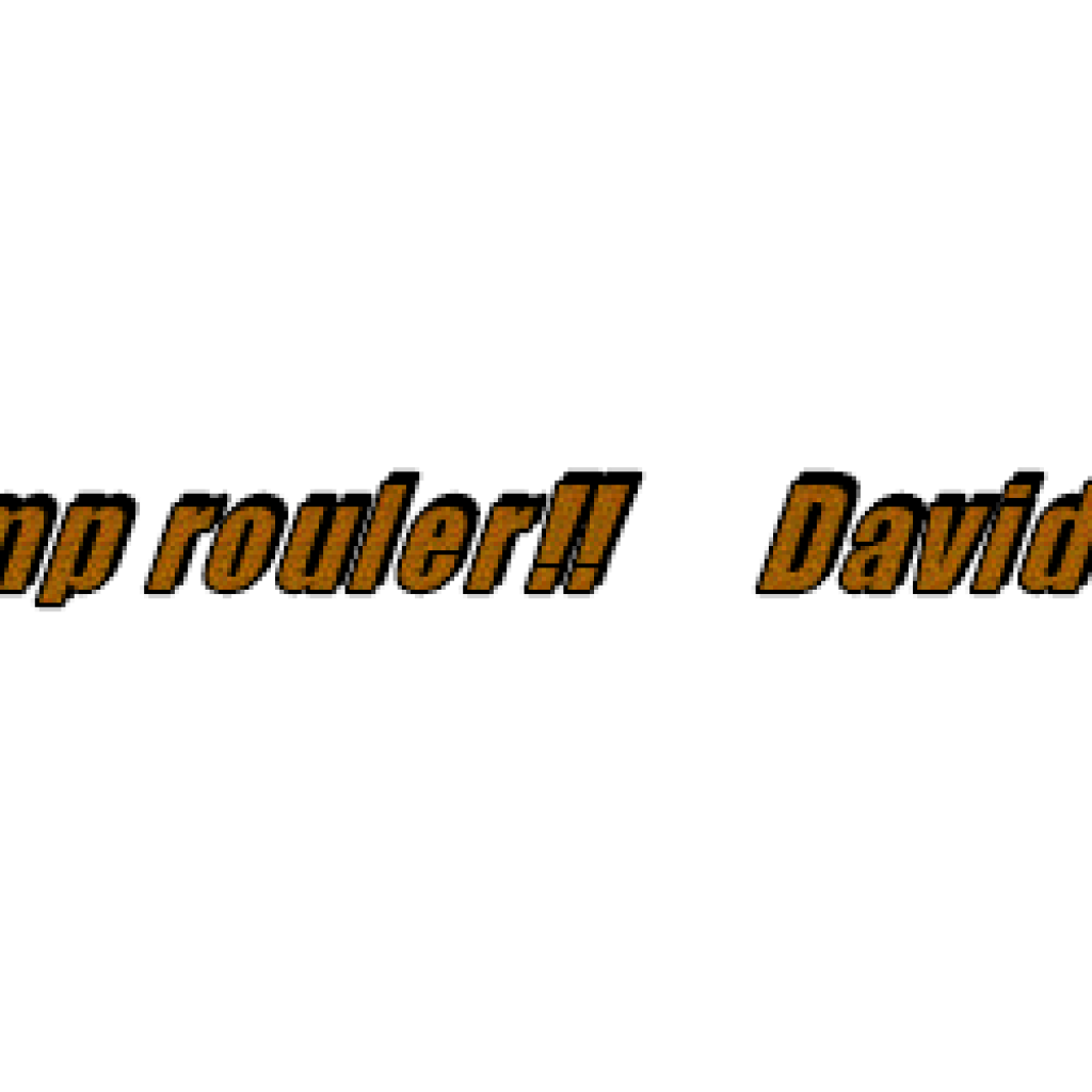 laissez les bons temp rouler!! Davids nouveau voyage ....