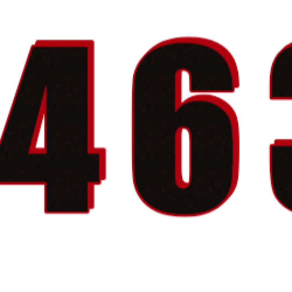 IN 5463 DC