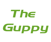 The 
Guppy
