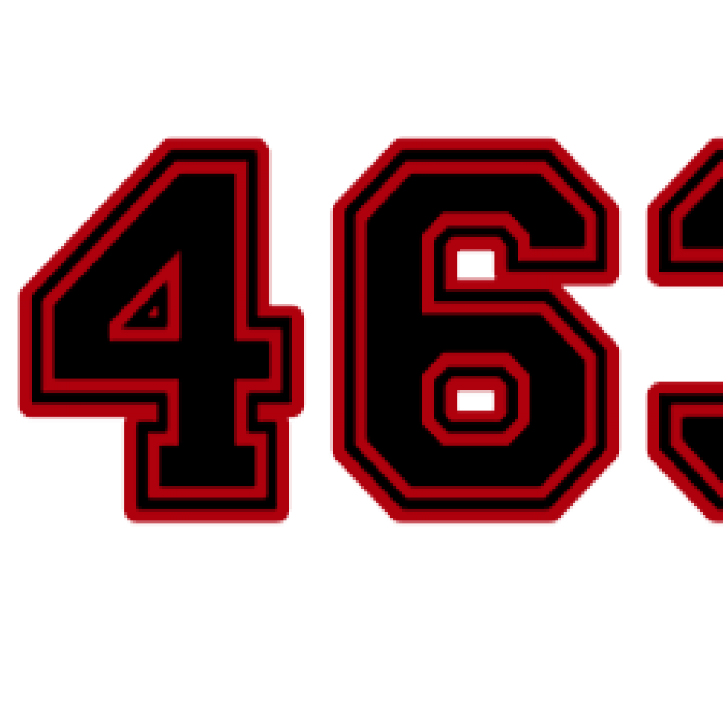 IN 5463 DC