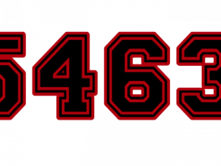 IN 5463 DC