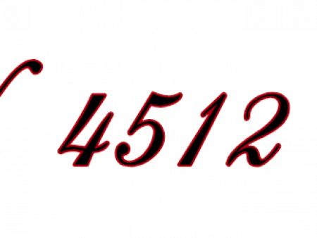 IN 4512 SS