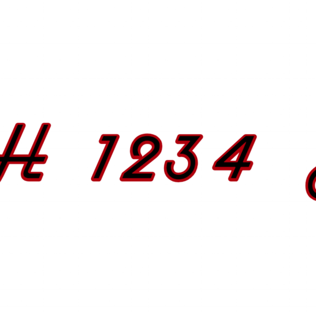 MH 1234 TG