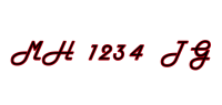 MH 1234 TG