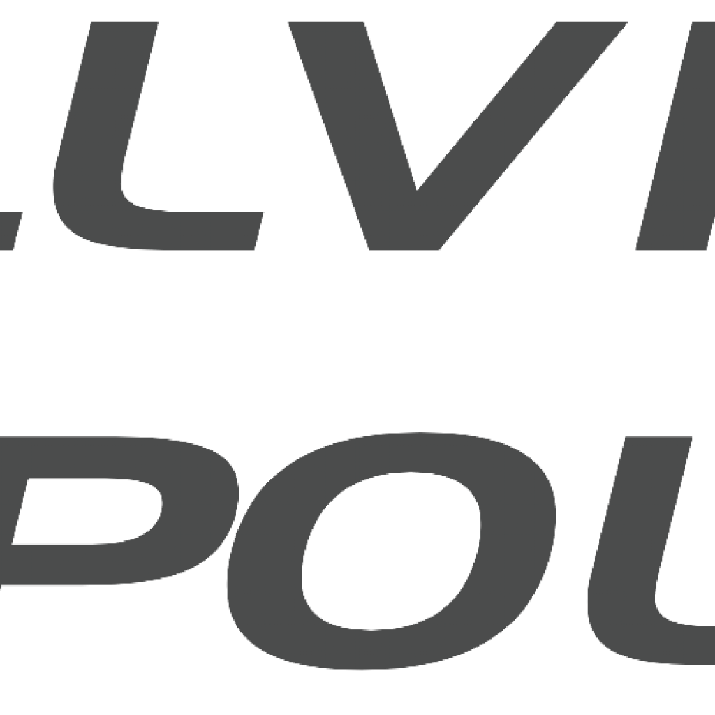 BELLVIEW
POLICE