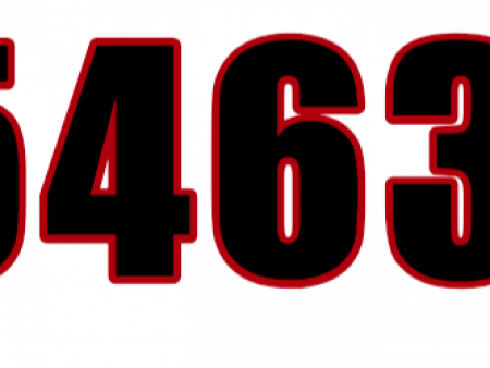 IN 5463 DC
