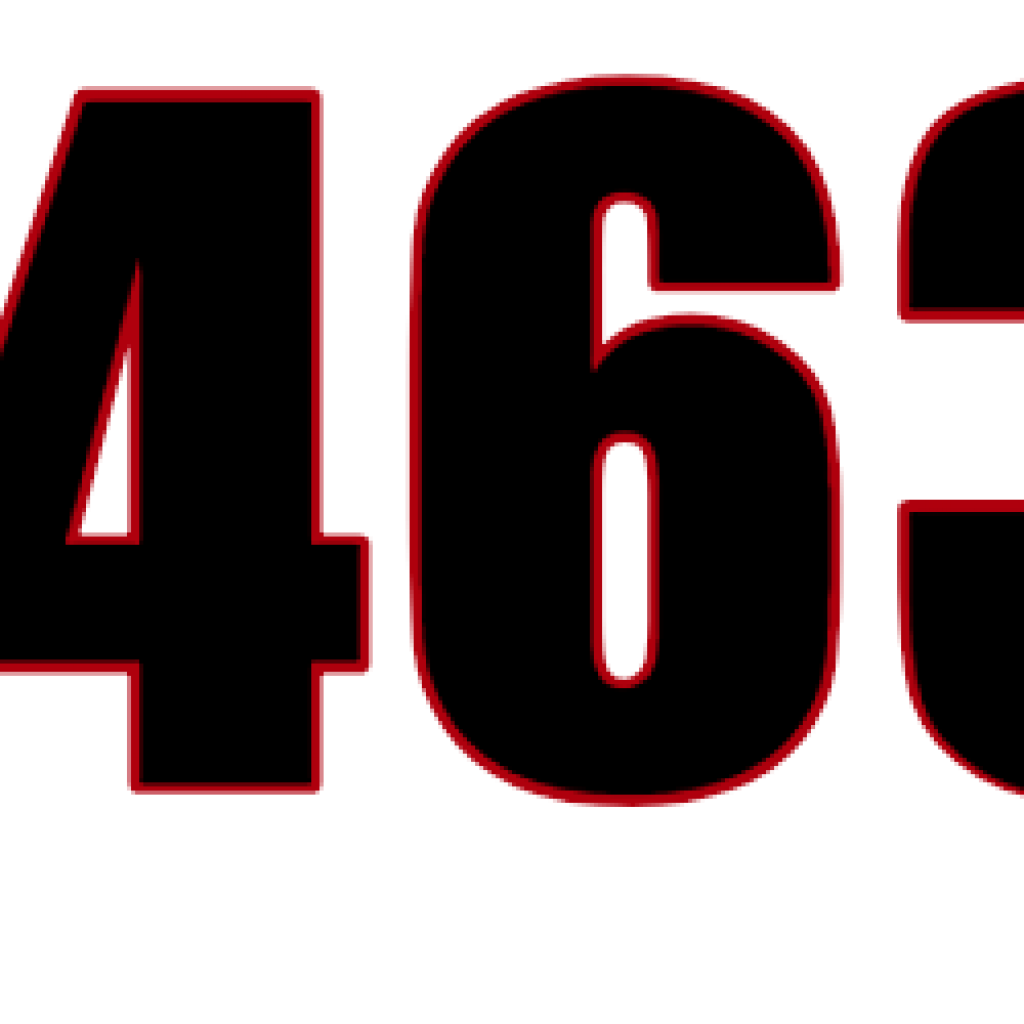 IN 5463 DC