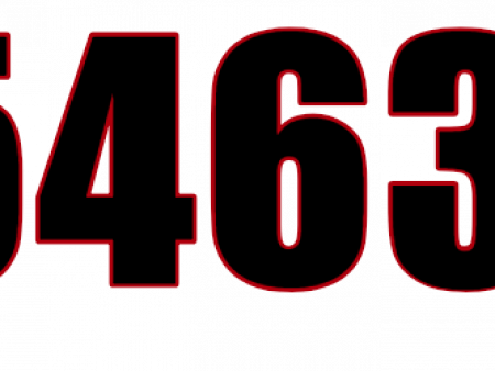 IN 5463 DC