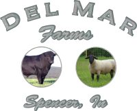 Custom Truck Door Lettering Delmar Farms