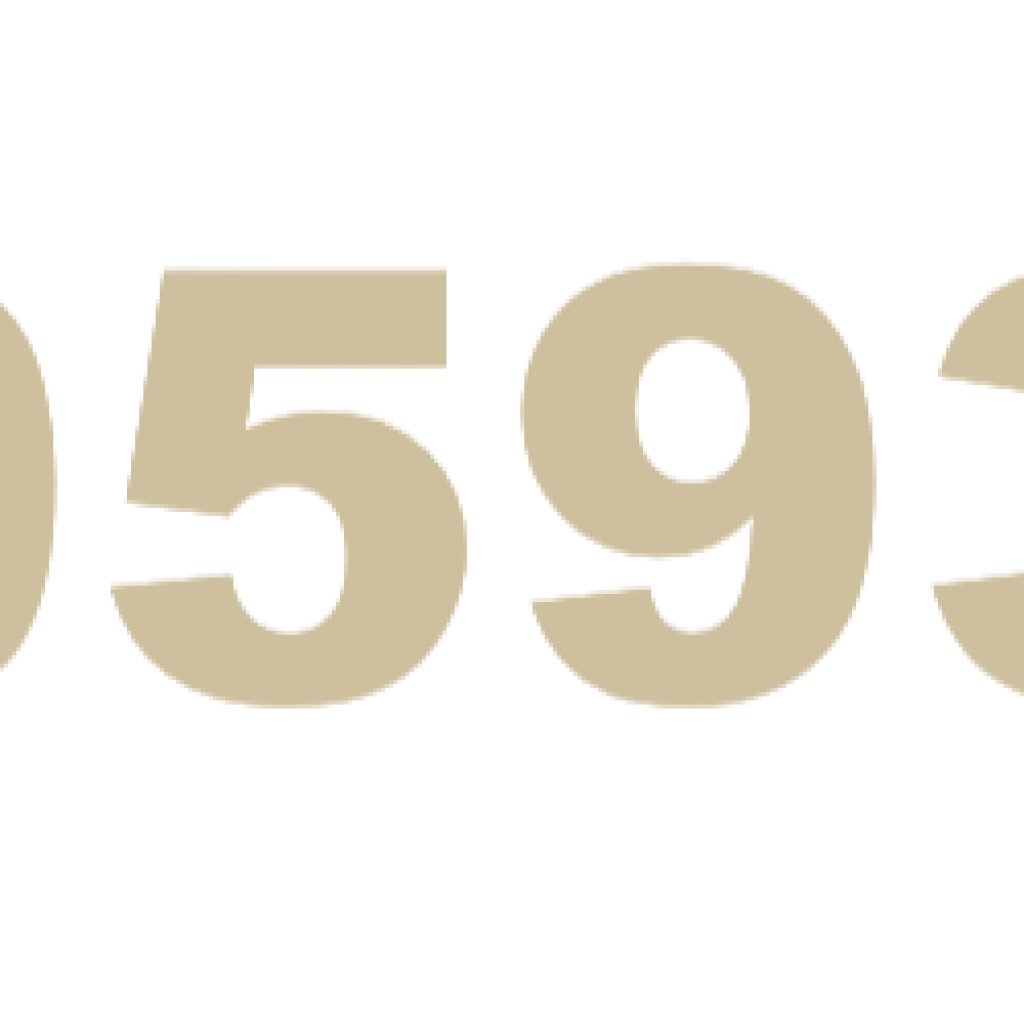 GA 0593 UN