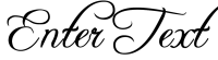 Enter Text