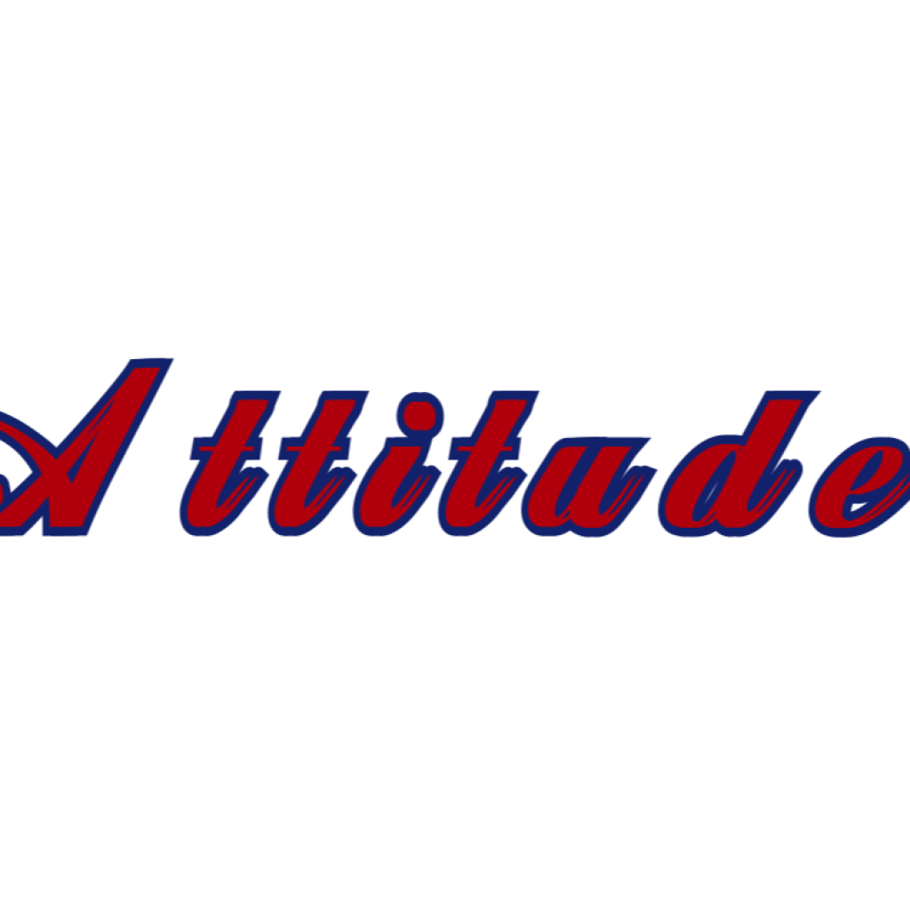 Attitude