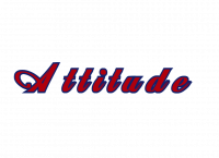 Attitude