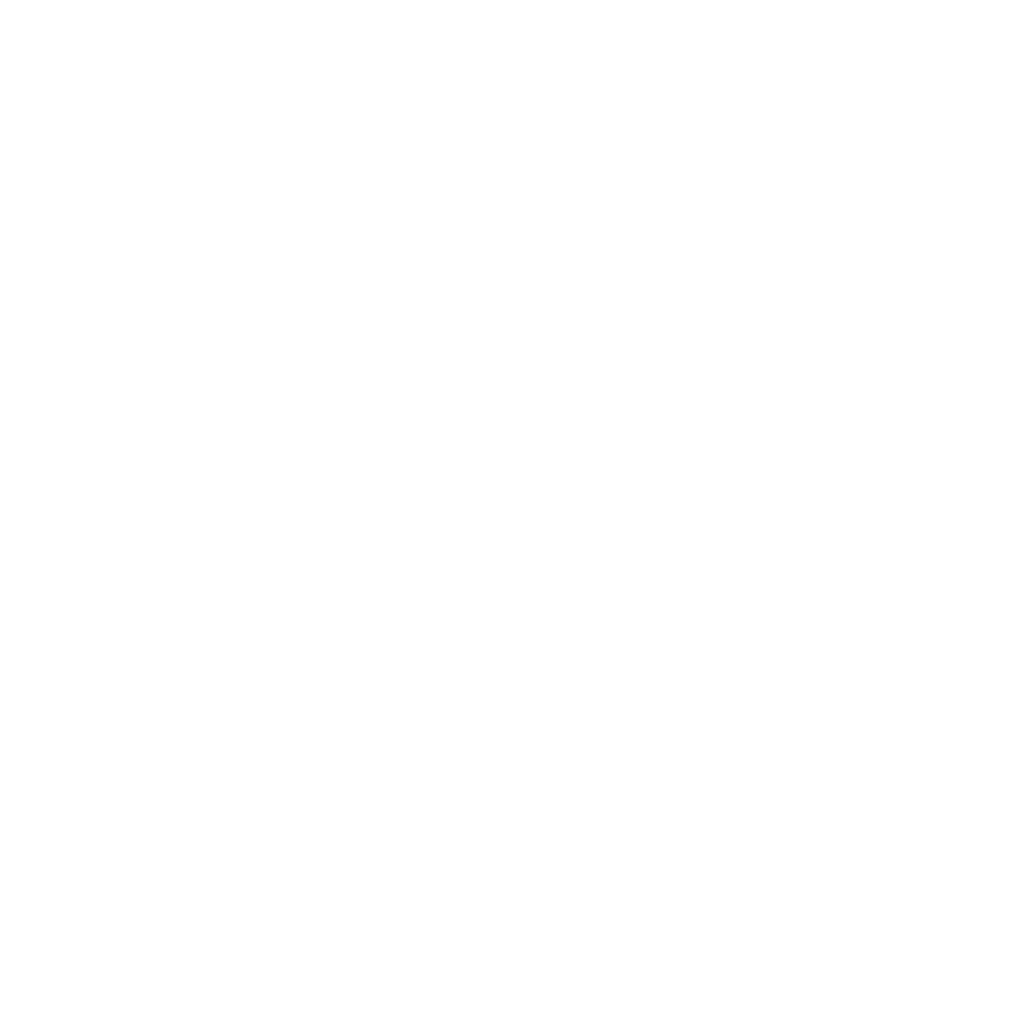 LADDER 2