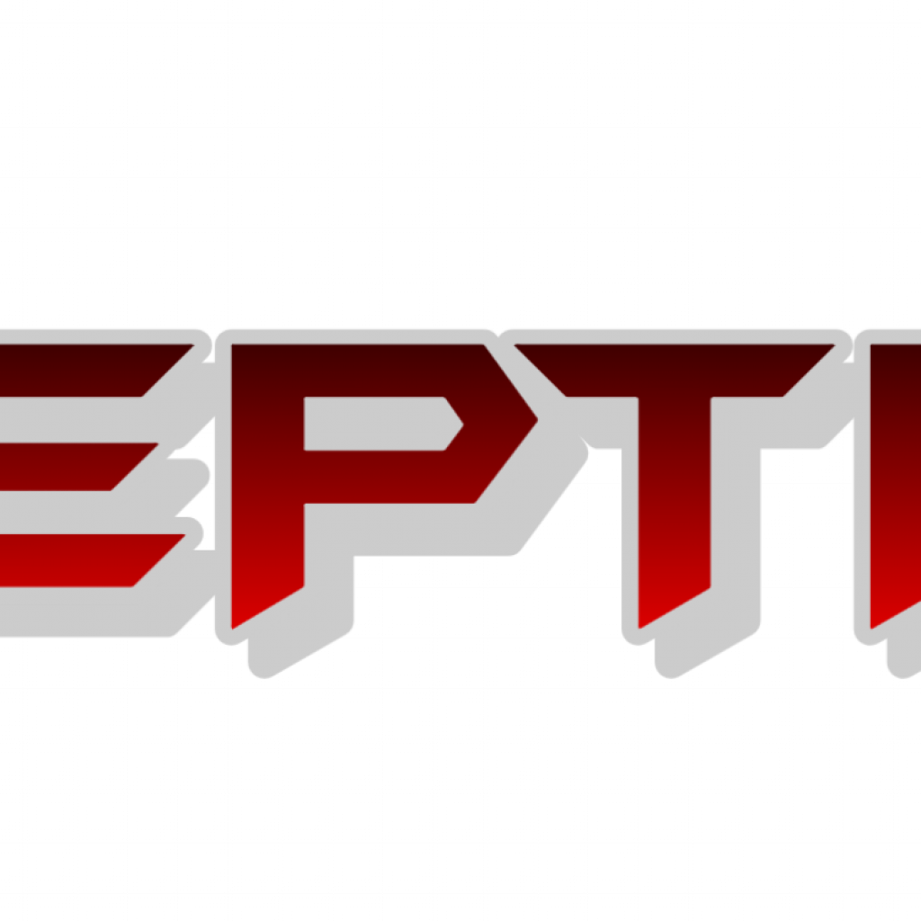 DECEPTICON