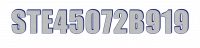 STE45072B919