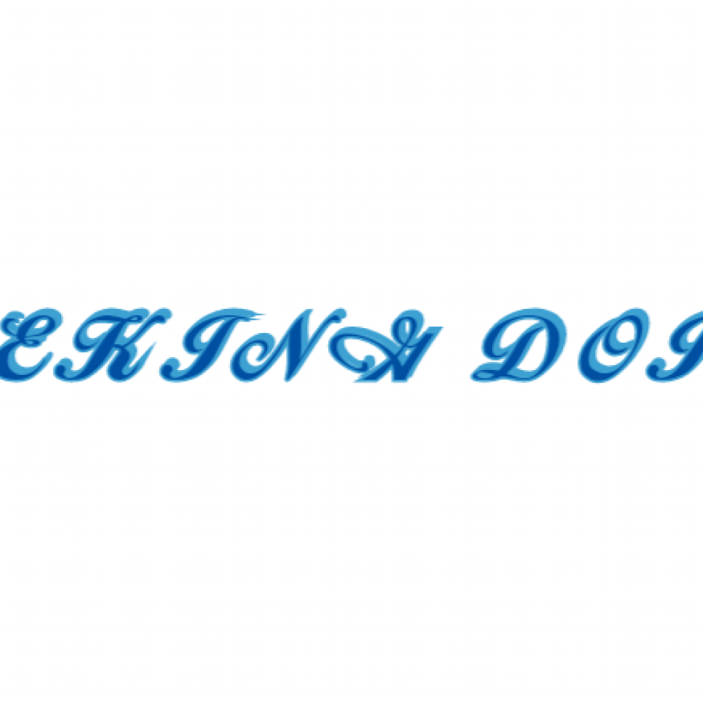 DEKING DOIR