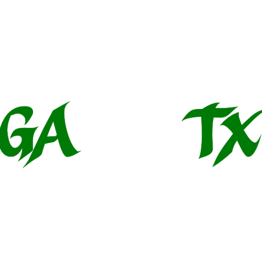 GA 0324 TX