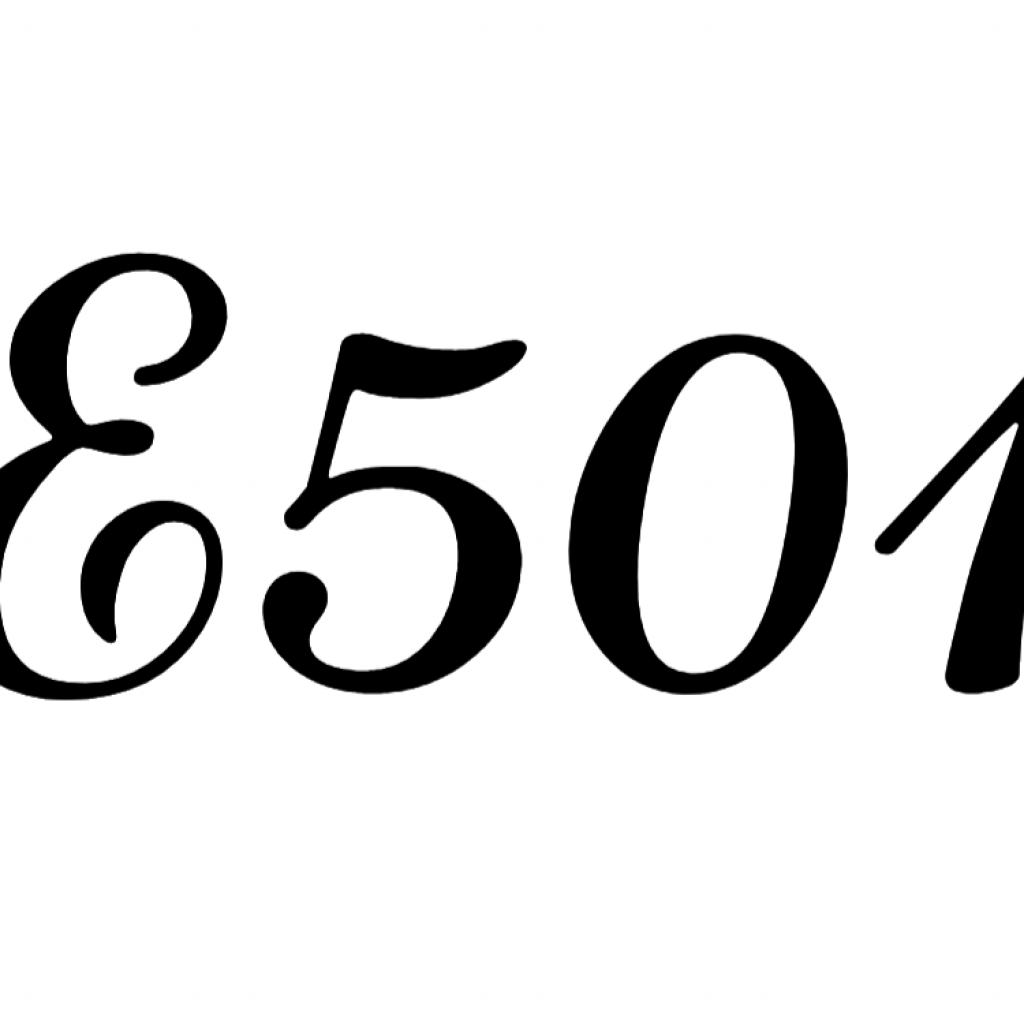 E501