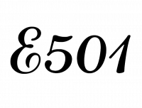 E501