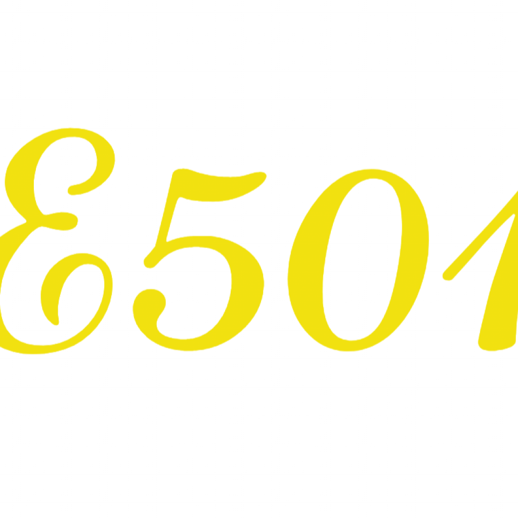 E501