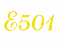 E501