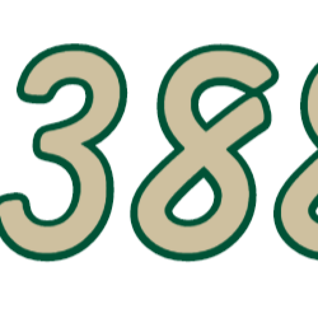GA 6388 WK