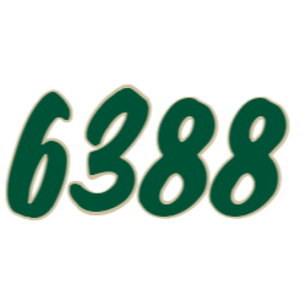GA 6388 WK
